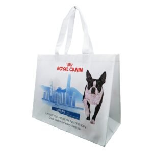 – Non-woven Lamination Bag (Document)